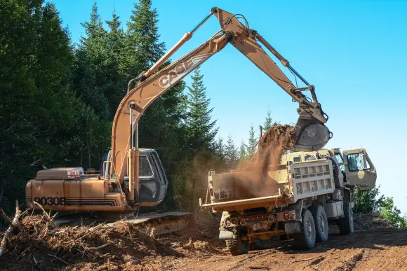 Wombet Kasyno Wsparcie